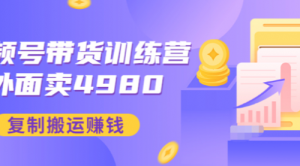 外面卖4980【盗坤：视频号带货训练营】复制搬运赚钱（附电公商园文件）-课服务