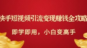 快手短视频引流变现赚钱全攻略：即学即用，小白变高手（价值398元）-课服务