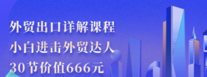 外贸出口详解课程：小白进击外贸达人，30节价值666元-课服务