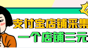 【信息差项目】支付宝店铺采集项目，只需拍三张照片，轻松日赚300-500-课服务