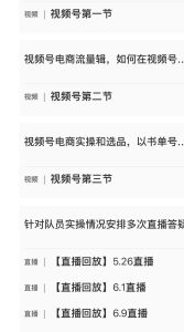 图片[3]-胡子·淘金计划之视频号带货实战营，带你玩转视频号，价值399-课服务