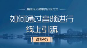 玩转喜马拉雅引流矩阵，每天被动引流100+精准粉技术！-课服务