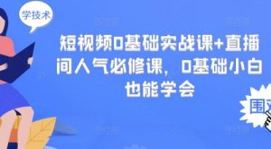 短视频0基础实战课+直播间人气必修课，0基础小白也能学会-课服务