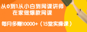 从0到1从小白到网课讲师：在家做爆款网课，每月多赚10000+（15堂实操课）-课服务