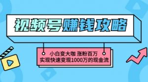 玩转微信视频号赚钱：小白变大咖 涨粉百万 实现快速变现1000万的现金流-课服务