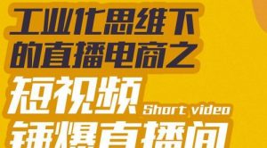 工业化思维下的直播电商之短视频锤爆直播间，听话照做执行爆单-课服务