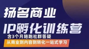 商业IP孵化训练营，从商业到内容到转化一站式学 价值5980元-课服务