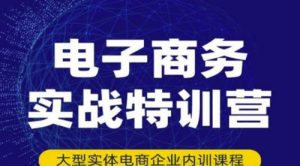 电子商务实战特训营，全方位带你入门电商，308种方式玩转电商-课服务