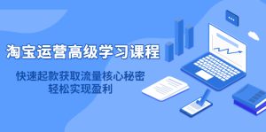 淘宝运营高级学习课程：如何搜索起爆，实现纯搜索盈利！-课服务
