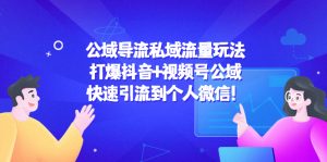 私域流量玩法：打爆抖音+视频号公域，快速引流到个人微信！-课服务