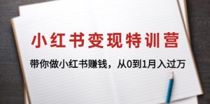 小红书变现高手特训营：带你做小红书，从0到1，没有基础照样玩！-课服务