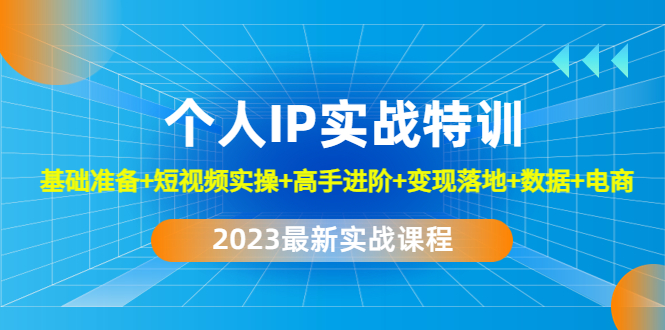 2023个人IP实战特训：基础准备+短视频实操+高手进阶+变现落地+数据+电商-课服务