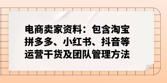 电商卖家资料：包含淘宝、拼多多、小红书、抖音等运营干货及团队管理方法-课服务